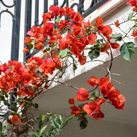 Coastal Villa - Old Dalmatian House Гостьовий будинок *